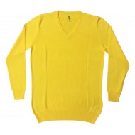 İş Kazağı V Yaka Sarı